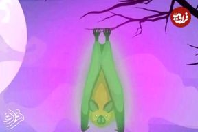 کشف شگفت‌انگیز: خفاش‌ها زیر نور فرابنفش سبز می‌شوند!