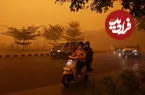 ببینید| آتش‌سوزی‌ جنگل شهر را نارنجی کرد