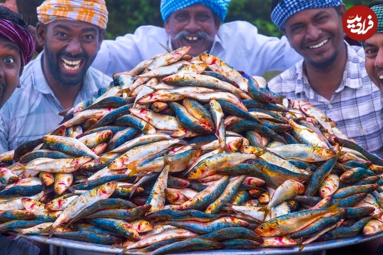 ببینید؛ غذای روستایی در هند؛ پخت یک خوراک سنتی با ماهی ساردین در مزارع چای