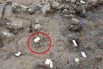 قبر 1800 سالۀ رومی در یک مکان غیرمنتظره کشف شد؛ از قطعات بلور تا ورقه‌های طلا