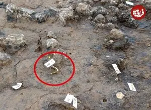 قبر 1800 سالۀ رومی در یک مکان غیرمنتظره کشف شد؛ از قطعات بلور تا ورقه‌های طلا