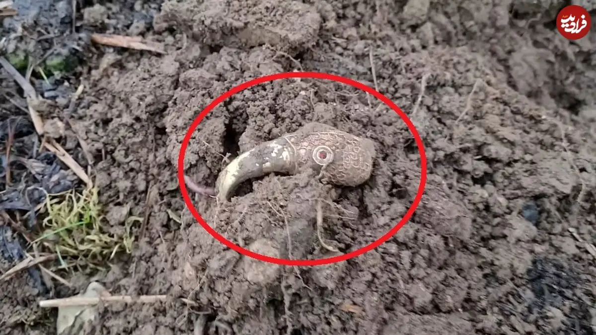 «کلاغ طلایی» بعد از 1400 سال از زیر خاک بیرون آمد