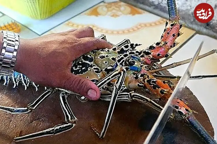 ببینید| غذای خیابانی در مالزی؛ تهیه خوراک با لابستر و ماهی در کوالالامپور