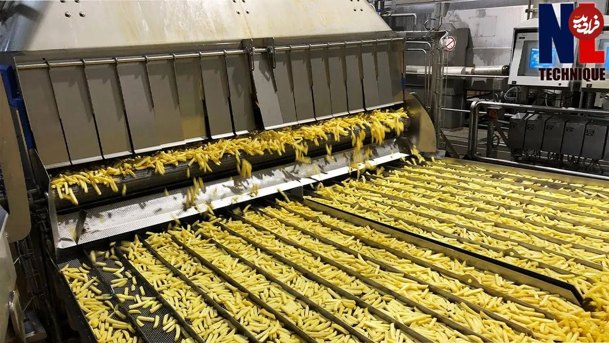(ویدئو) عملیات شگفت انگیز تهیه سیب زمینی سرخ کرده ترد در یک کارخانه مدرن