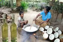 ببینید| غذای روستایی در سریلانکا؛ تهیه روغن نارگیل خالص توسط بانوی روستایی