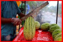 ببینید؛ غذای خیابانی در هند؛ برش ماهرانه طالبی، هندوانه و آناناس در بمبئی