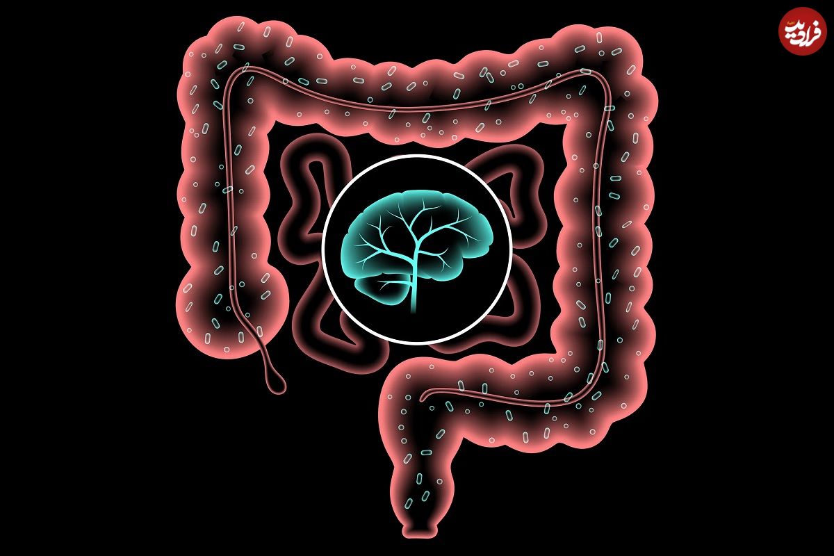 «میکروب‌های روده» می‌توانند باعث اختلال «اضطراب اجتماعی» شوند!