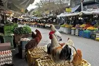 عکس| سفر به ایران قدیم؛ تصویری از «بازار ساحلی انزلی» در دوران قاجار