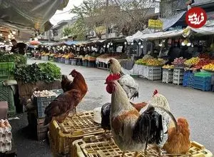 عکس| سفر به ایران قدیم؛ تصویری از «بازار ساحلی انزلی» در دوران قاجار