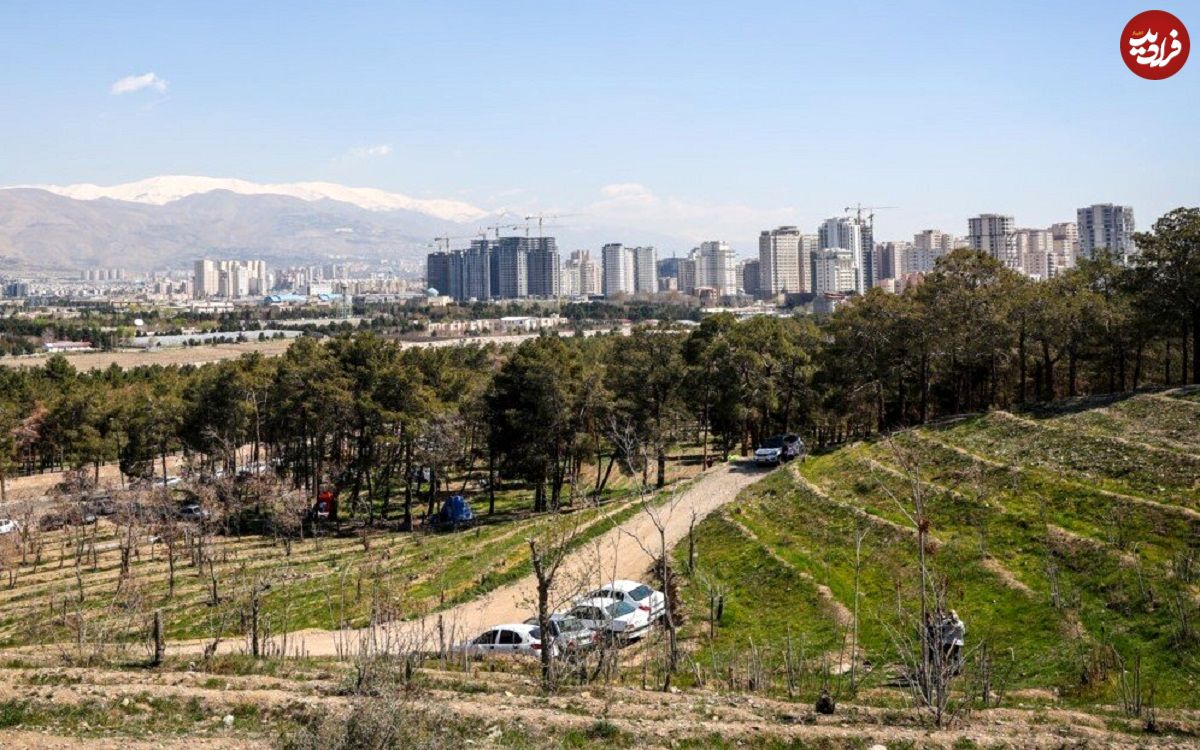 معمای کشف جسدی در پارک چیتگر