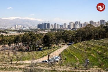 معمای کشف جسدی در پارک چیتگر