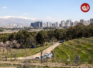 معمای کشف جسدی در پارک چیتگر