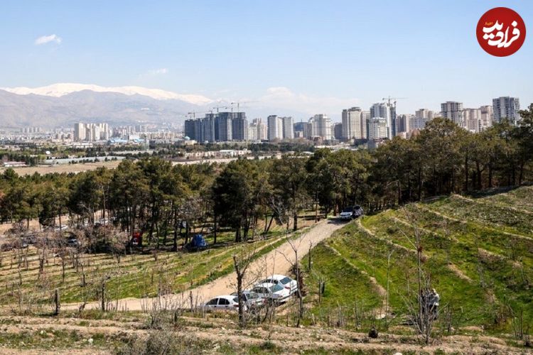 معمای کشف جسدی در پارک چیتگر