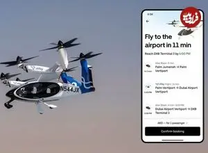 ببینید| تاکسی اینترنتی پرنده هم آمد!