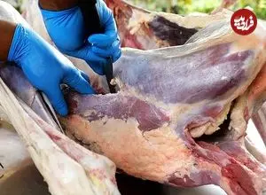 ببینید| غذای خیابانی در تایلند؛ پخت سوپ نودل با گوشت شتر مرغ در بانکوک