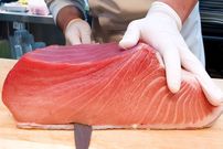 ببینید؛ چگونه کره ای ها ماهی تن ۲۰۰ کیلوگرمی را برای ساشیمی برش می‌دهند؟