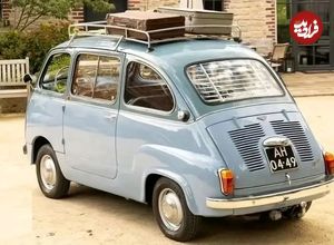 تصاویر؛ اولین مینی‌ون مدرن جهان؛ کوچک و دوست داشتنی