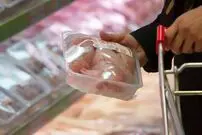 بازار به کاهش قیمت مرغ چراغ سبز نشان داد