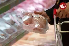 بازار به کاهش قیمت مرغ چراغ سبز نشان داد