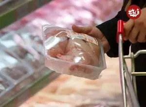 بازار به کاهش قیمت مرغ چراغ سبز نشان داد