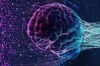 مغز انسان چه زمانی پیر می‌شود؟ پاسخ جدید علم که شاید نگرانتان کند