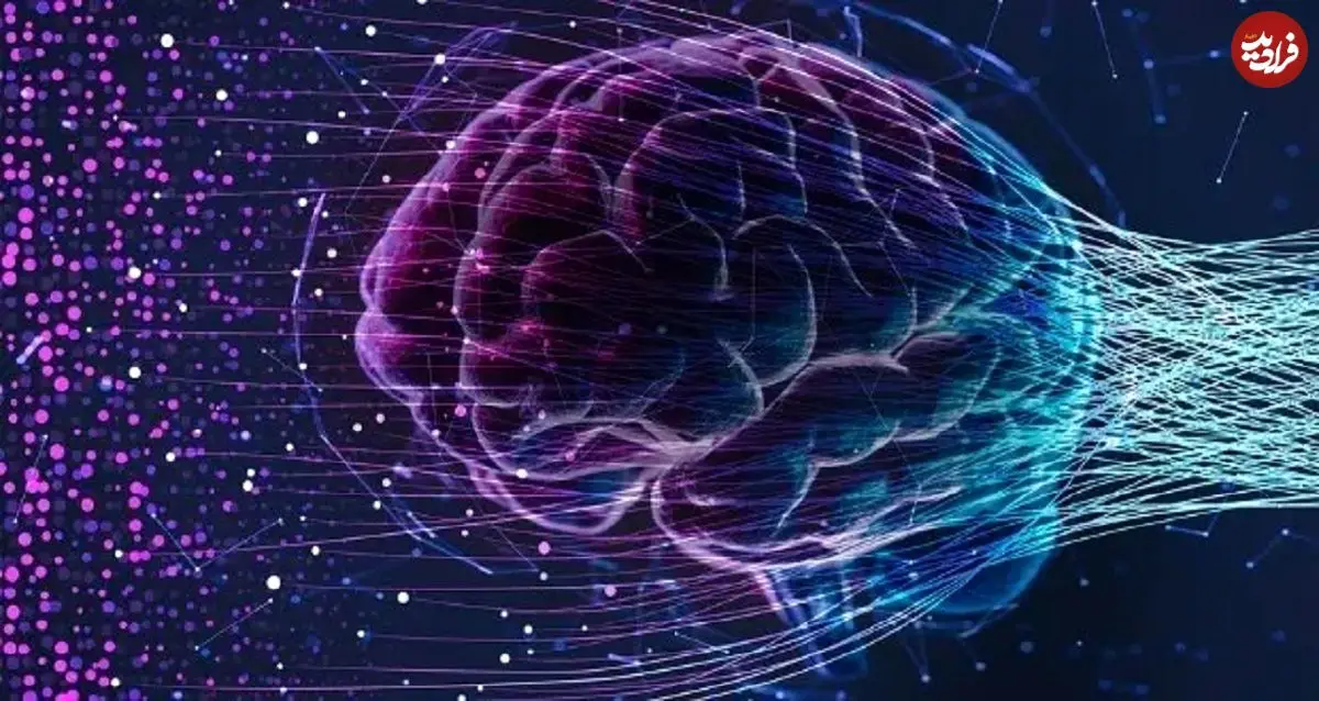 مغز انسان چه زمانی پیر می‌شود؟ پاسخ جدید علم که شاید نگرانتان کند
