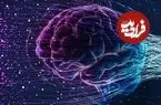 مغز انسان چه زمانی پیر می‌شود؟ پاسخ جدید علم که شاید نگرانتان کند