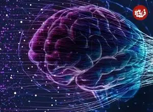 مغز انسان چه زمانی پیر می‌شود؟ پاسخ جدید علم که شاید نگرانتان کند