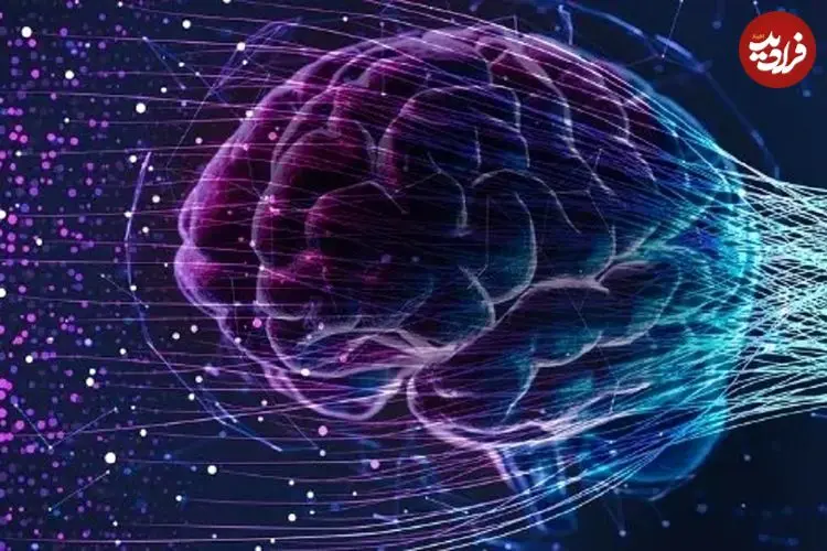 مغز انسان چه زمانی پیر می‌شود؟ پاسخ جدید علم که شاید نگرانتان کند