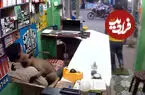 ببینید| لحظه احساسی در آغوش گرفتن فروشنده یک مغازه توسط میمون در هند پربازدید شد
