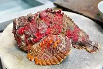 ببینید| غذای خیابانی در ژاپن؛ تهیه دو نوع غذا با سنگ ماهی سمی در اوکیناوا