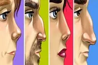 فرم بینی‌تان درباره شخصیت شما چه می‌گوید؟
