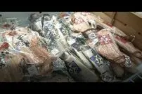 ( ویدیو) حمایت به سبک ژاپنی؛ شهروندان توکیو غذاهای دریایی فوکوشیما را که احتمال دارد رادیو اکتیور باشند می‌‌خرند