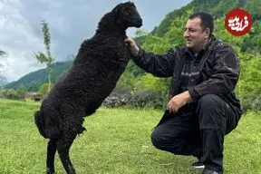 ببینید| غذای روستایی در آذربایجان؛ کباب بره با نان تنوری در طبیعت روستا