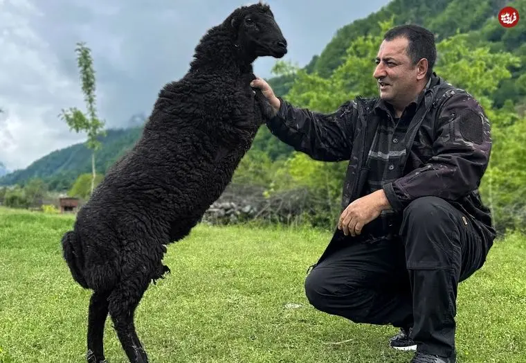 ببینید| غذای روستایی در آذربایجان؛ کباب بره با نان تنوری در طبیعت روستا