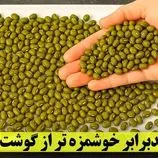ببینید| طرز تهیه یک سوپ خوشمزه با ماش