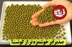 ببینید| طرز تهیه یک سوپ خوشمزه با ماش