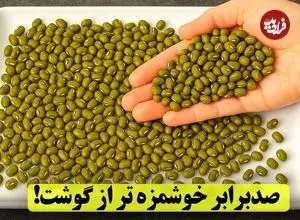 ببینید| طرز تهیه یک سوپ خوشمزه با ماش