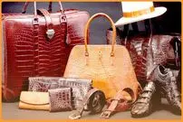 اسم خارجی برای مغازه کیف و کفش؛ +50 اسم خارجی و خاص که تا به حال نشنیده‌اید!  