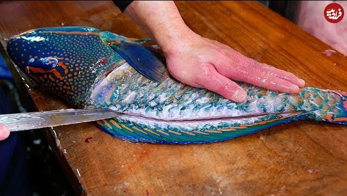 ببینید؛ غذای خیابانی در ژاپن؛ تهیه ساشیمی با طوطی ماهی در اوکیناوا