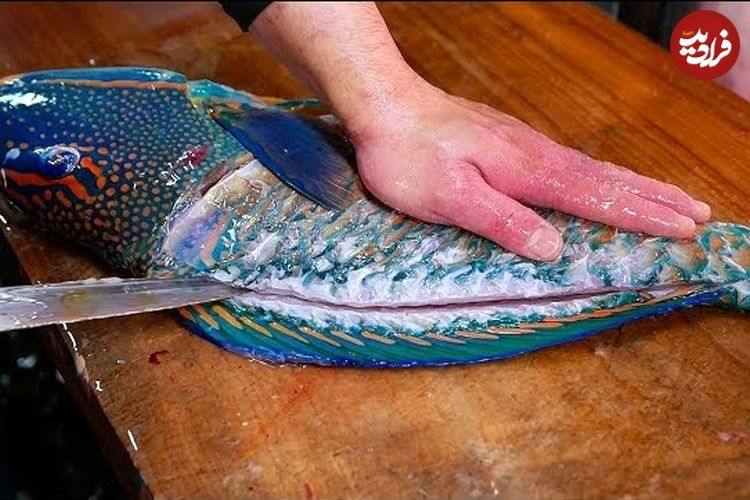 ببینید؛ غذای خیابانی در ژاپن؛ تهیه ساشیمی با طوطی ماهی در اوکیناوا