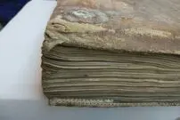 کتاب‌های قرون وسطایی با جلد «مودار» که از «پوست فوک» ساخته شده‌اند