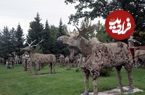 تصاویر؛ باغ مجسمه‌های یک چوب‌بر بازنشسته که نمی‌دانست چرا مجسمه می‌سازد