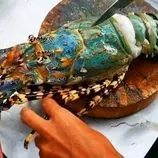 ببینید| غذای خیابانی در تایلند؛ کباب لابستر رنگین کمانی در بانکوک