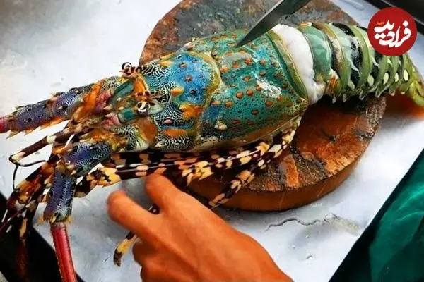 ببینید| غذای خیابانی در تایلند؛ کباب لابستر رنگین کمانی در بانکوک