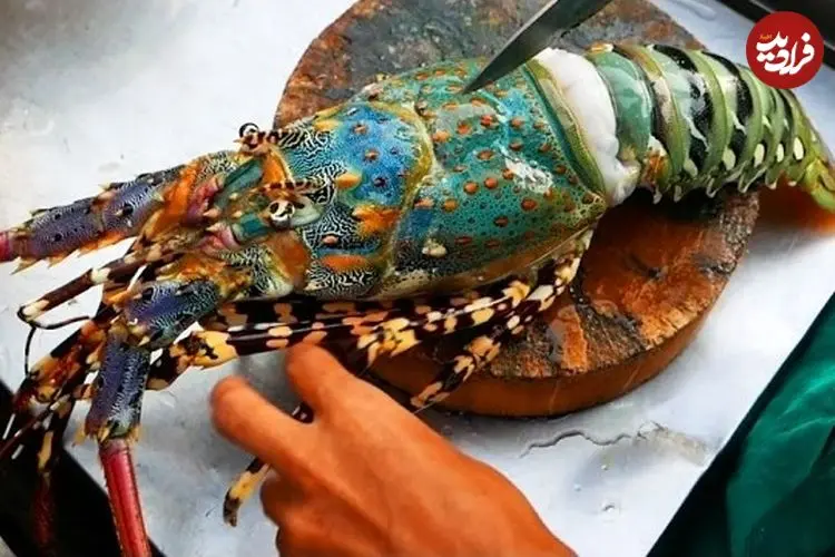 ببینید| غذای خیابانی در تایلند؛ کباب لابستر رنگین کمانی در بانکوک