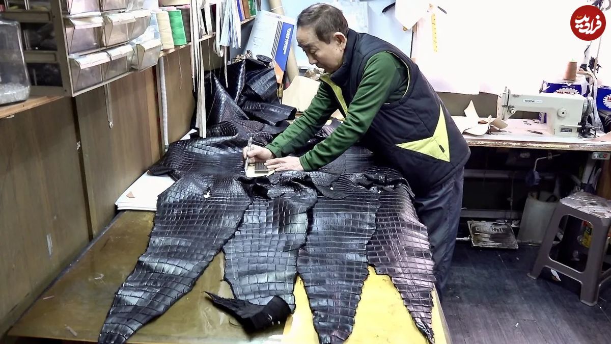 (ویدئو) نحوه تبدیل کردن پوست کروکودیل به کاپشن گران قیمت توسط استاد کره ای