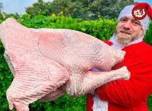 ببینید| غذای روستایی در آذربایجان؛ پخت بوقلمون شکم پر در تنور