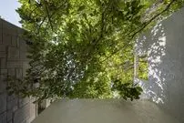 تصاویر| 2 درخت گردو؛ مهم ترین عناصر معماری این خانه زیبا در کرج