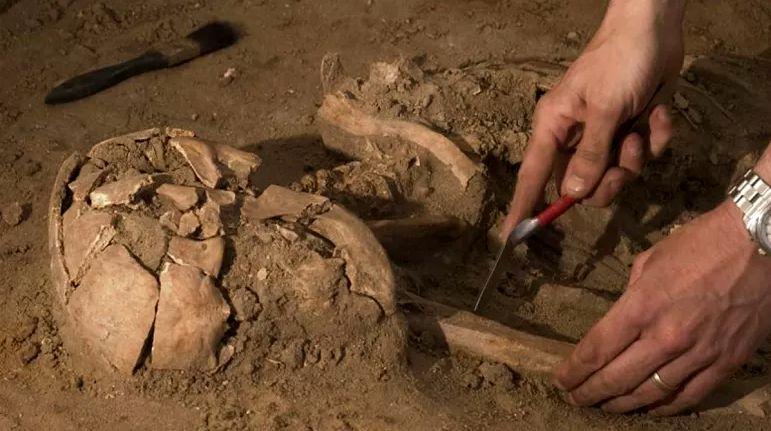 کشف بقایای ۸۵ هزار ساله از گونه «هوموساپین» در عربستان سعودی